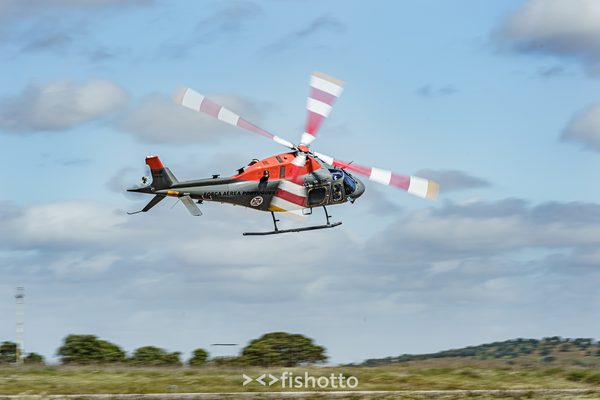 NTM21 Nato Tiger Meet color — foto 46