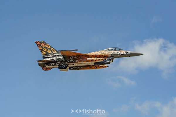 NTM21 Nato Tiger Meet color — foto 47