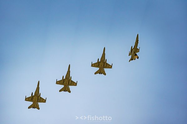 NTM21 Nato Tiger Meet color — foto 48