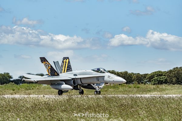 NTM21 Nato Tiger Meet color — foto 49