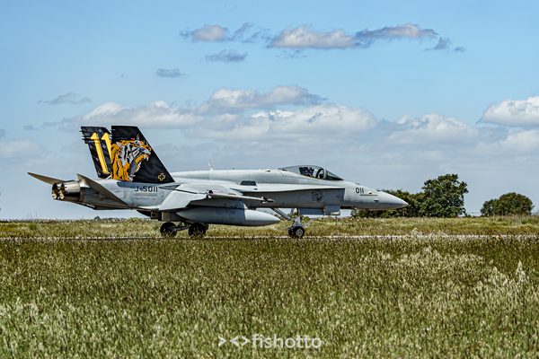 NTM21 Nato Tiger Meet color — foto 50