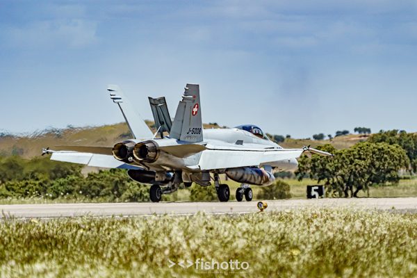 NTM21 Nato Tiger Meet color — foto 51