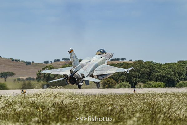 NTM21 Nato Tiger Meet color — foto 54