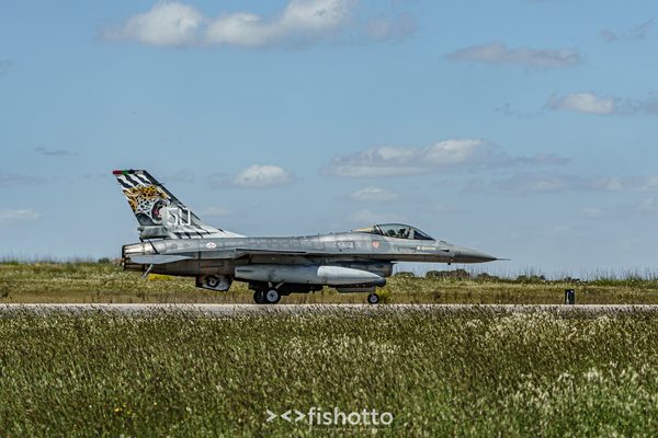 NTM21 Nato Tiger Meet color — foto 57