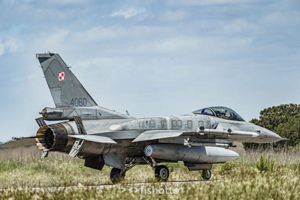 NTM21 Nato Tiger Meet color — foto 58