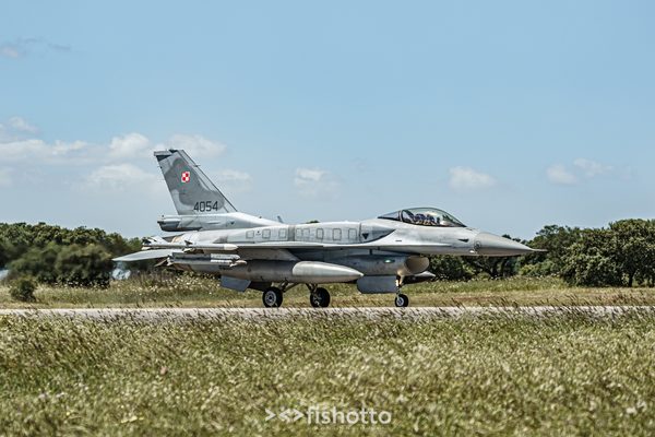 NTM21 Nato Tiger Meet color — foto 59