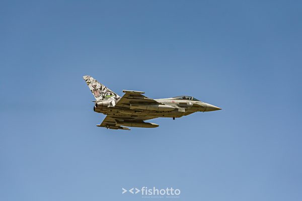 NTM21 Nato Tiger Meet color — foto 60
