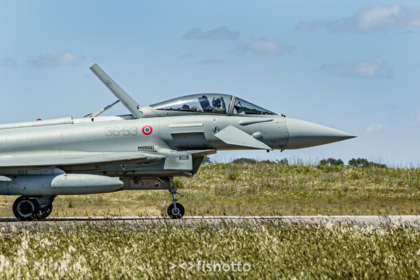 NTM21 Nato Tiger Meet color — foto 63