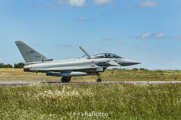 NTM21 Nato Tiger Meet color — foto 64