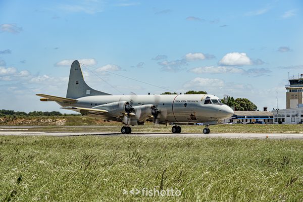 NTM21 Nato Tiger Meet color — foto 65