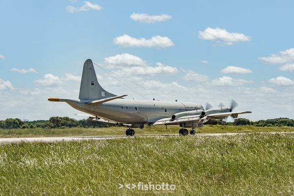 NTM21 Nato Tiger Meet color — foto 66