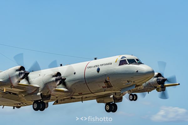 NTM21 Nato Tiger Meet color — foto 67