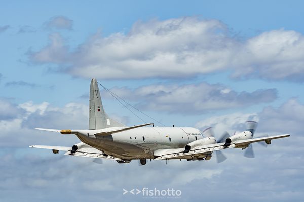 NTM21 Nato Tiger Meet color — foto 68
