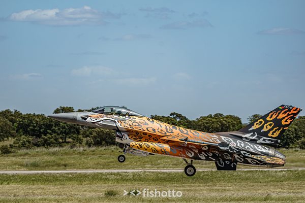 NTM21 Nato Tiger Meet color — foto 72