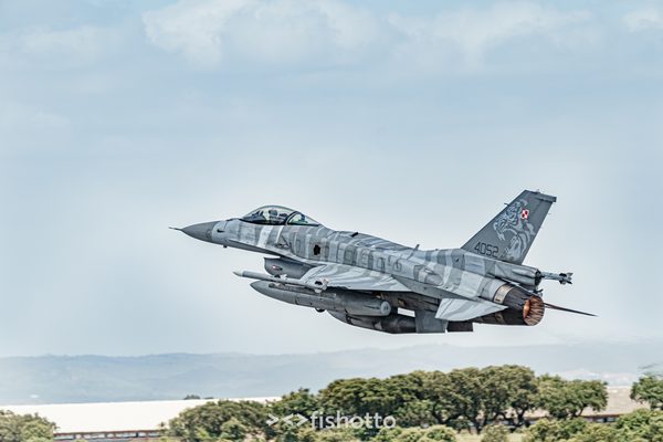 NTM21 Nato Tiger Meet color — foto 73