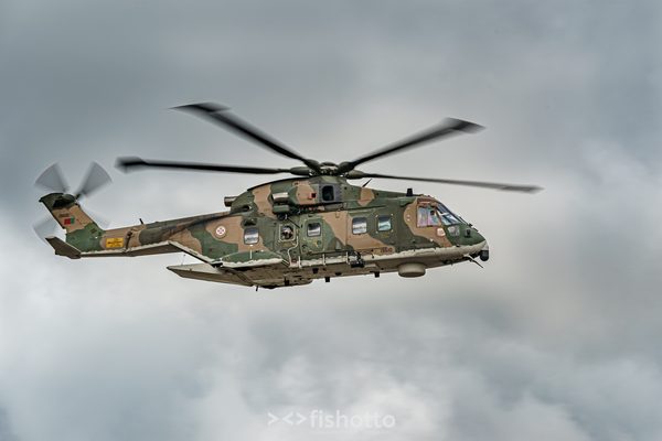 NTM21 Nato Tiger Meet color — foto 8