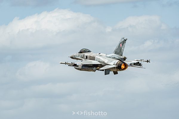 NTM21 Nato Tiger Meet color — foto 81