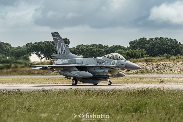 NTM21 Nato Tiger Meet color — foto 9