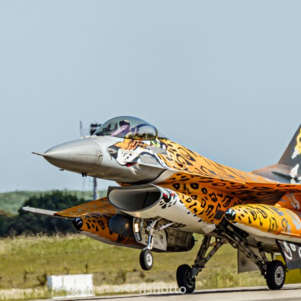 NTM21 Nato Tiger Meet color — foto 94