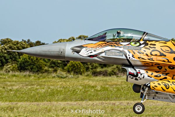NTM21 Nato Tiger Meet color — foto 95