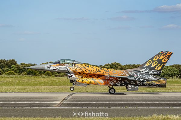 NTM21 Nato Tiger Meet color — foto 96