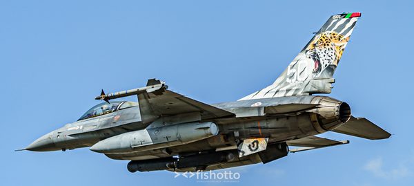NTM21 Nato Tiger Meet color — foto 99