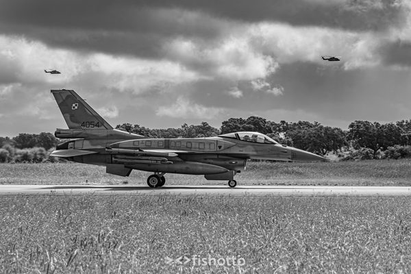 NTM21 Nato Tiger Meet B&W — foto 10
