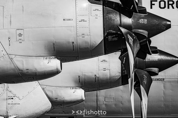 NTM21 Nato Tiger Meet B&W — foto 100