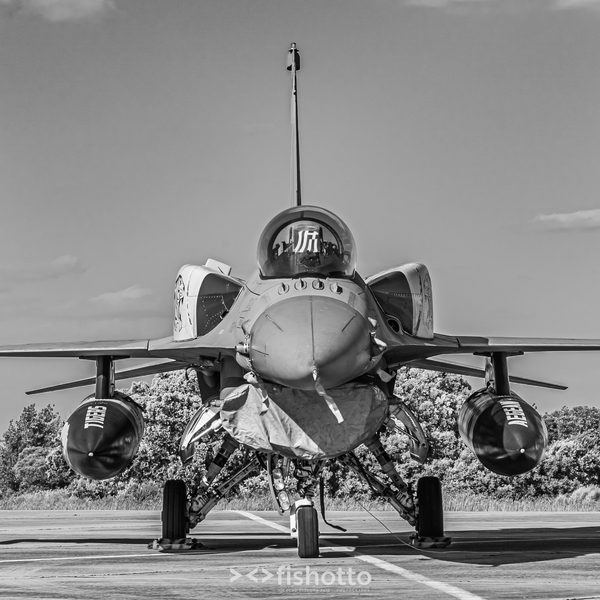 NTM21 Nato Tiger Meet B&W — foto 101