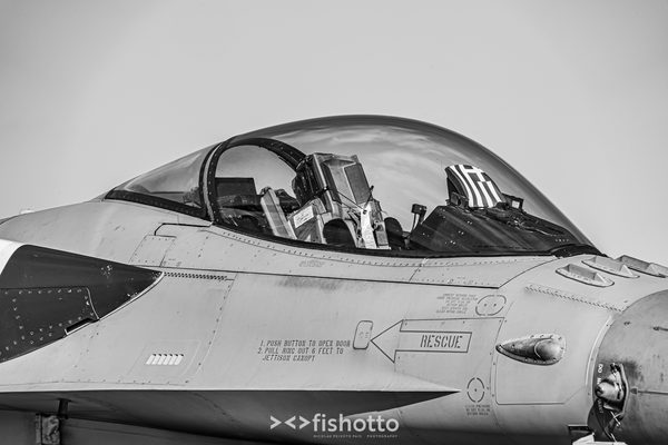 NTM21 Nato Tiger Meet B&W — foto 102