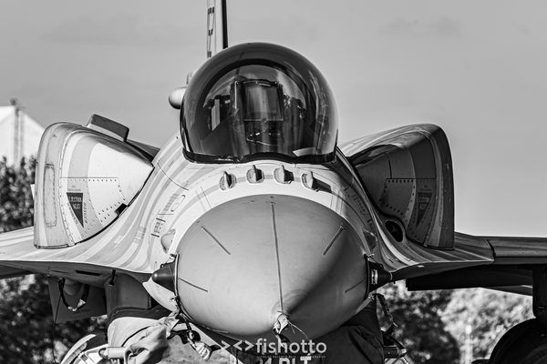 NTM21 Nato Tiger Meet B&W — foto 103