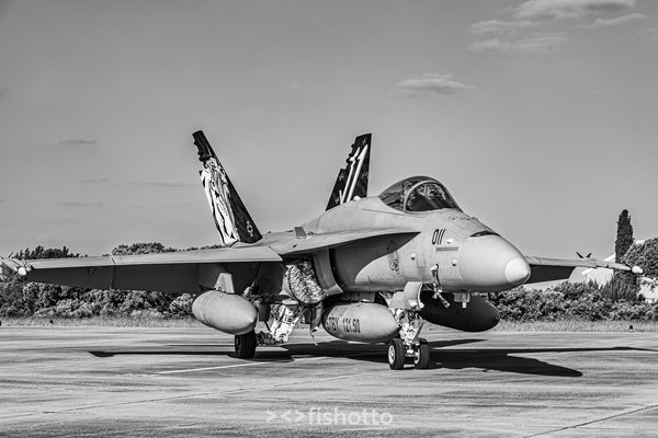 NTM21 Nato Tiger Meet B&W — foto 104
