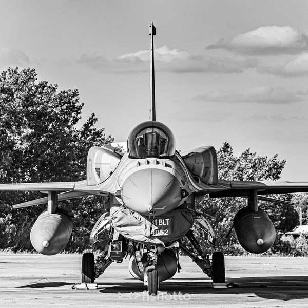 NTM21 Nato Tiger Meet B&W — foto 105