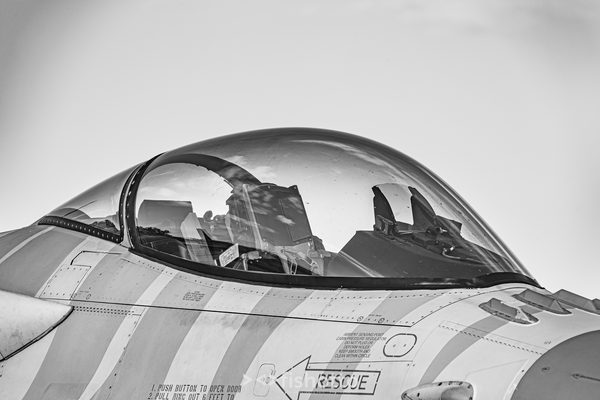 NTM21 Nato Tiger Meet B&W — foto 106