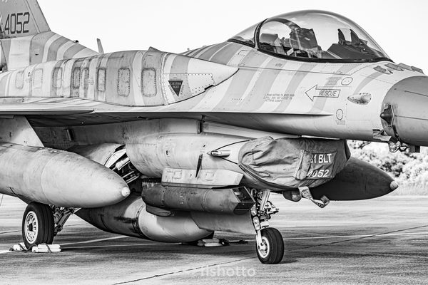 NTM21 Nato Tiger Meet B&W — foto 107