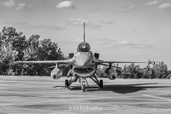 NTM21 Nato Tiger Meet B&W — foto 108