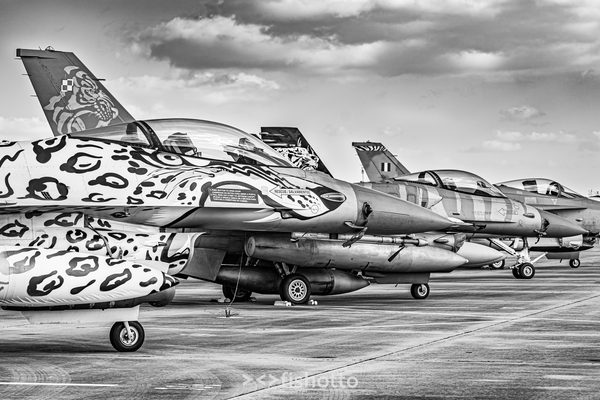 NTM21 Nato Tiger Meet B&W — foto 109
