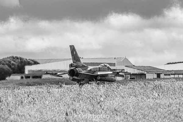 NTM21 Nato Tiger Meet B&W — foto 11