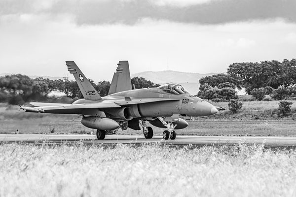 NTM21 Nato Tiger Meet B&W — foto 12