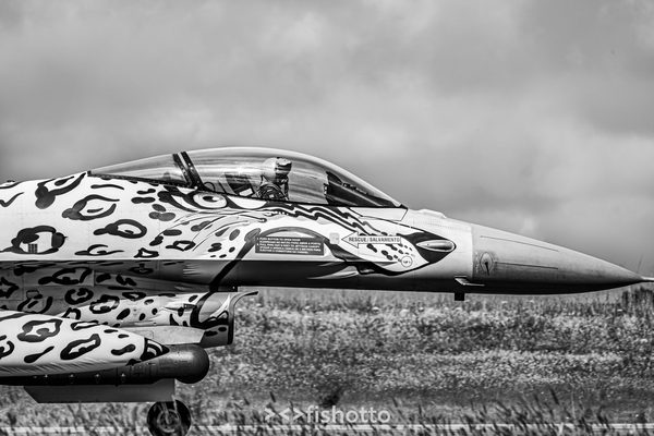 NTM21 Nato Tiger Meet B&W — foto 13