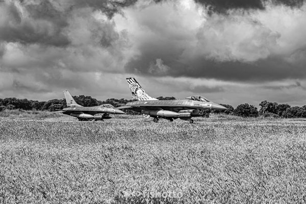 NTM21 Nato Tiger Meet B&W — foto 14
