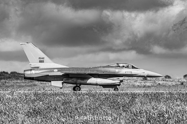 NTM21 Nato Tiger Meet B&W — foto 15
