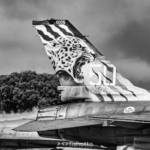 NTM21 Nato Tiger Meet B&W — foto 16