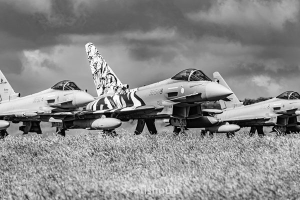 NTM21 Nato Tiger Meet B&W — foto 17