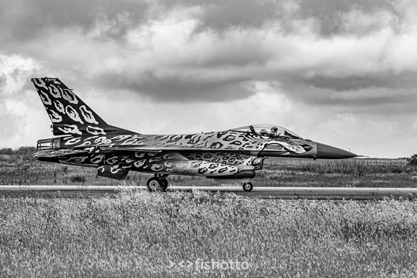 NTM21 Nato Tiger Meet B&W — foto 18