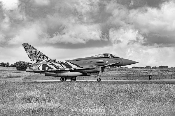 NTM21 Nato Tiger Meet B&W — foto 19