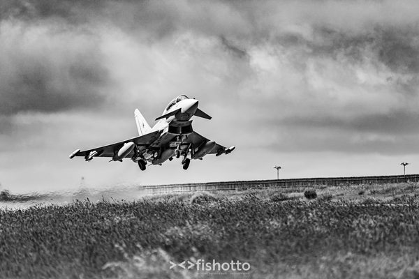 NTM21 Nato Tiger Meet B&W — foto 2