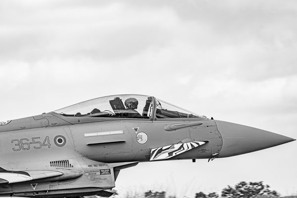 NTM21 Nato Tiger Meet B&W — foto 20