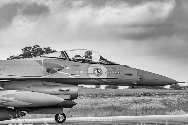 NTM21 Nato Tiger Meet B&W — foto 21