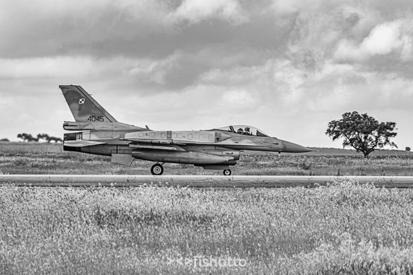 NTM21 Nato Tiger Meet B&W — foto 22